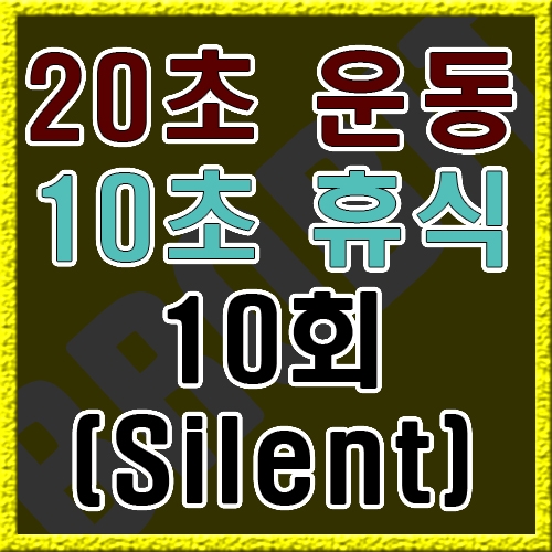 20초 운동 10초 휴식 [음악없음]