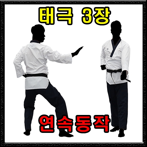 태극 3장 (연속동작)