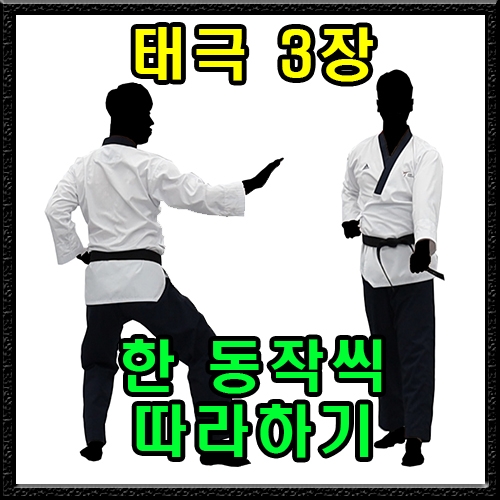 태극 3장 (한 동작씩 따라하기)