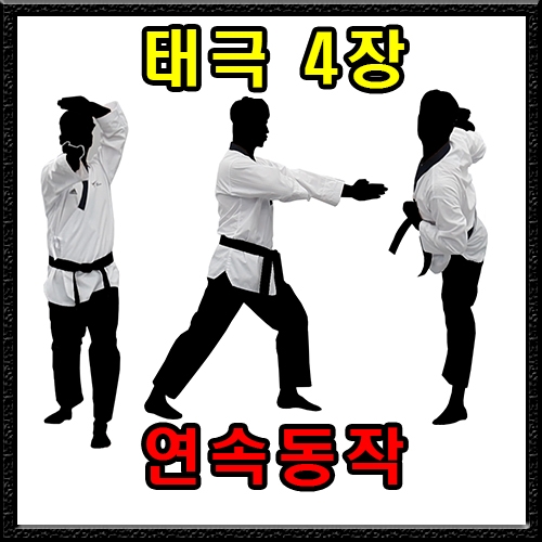 태극 4장 (연속동작)