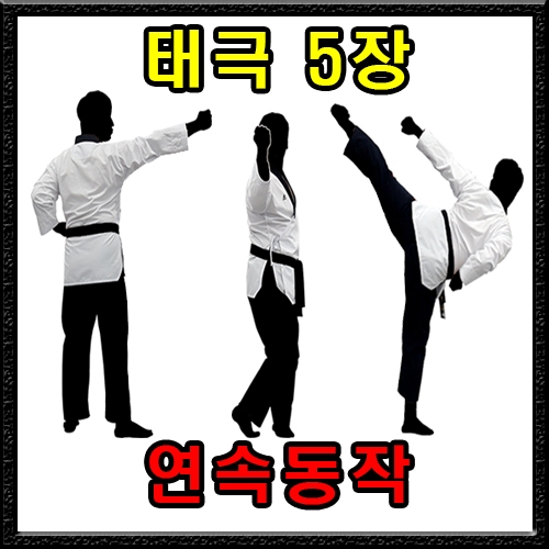 태극 5장 (연속동작)