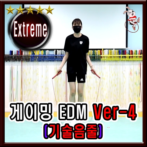 게이밍 EDM Ver4 (기술음줄)