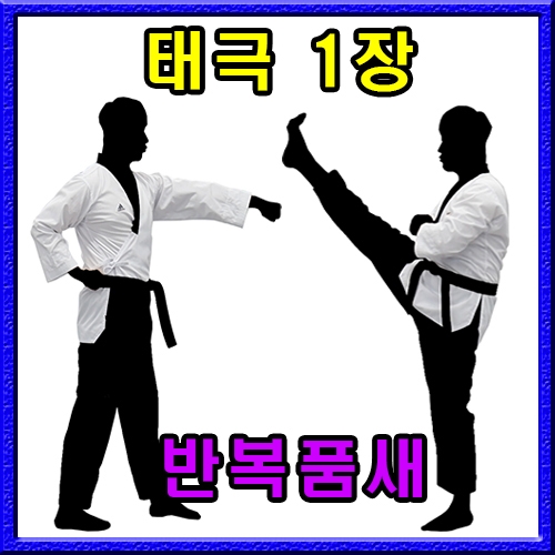 태권도 반복품새 1장