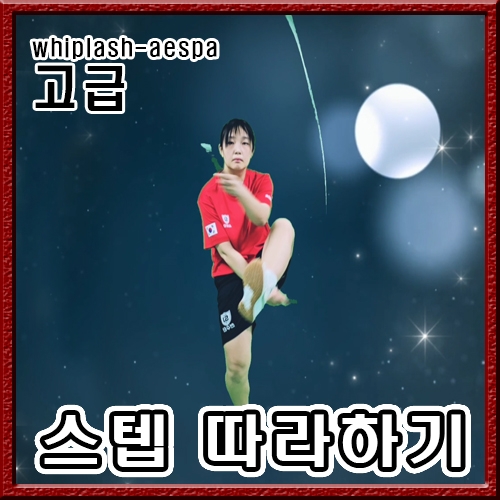 aespa - whiplash (스텝연습 고급)