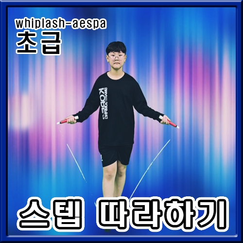 aespa - whiplash (스텝연습 초급)