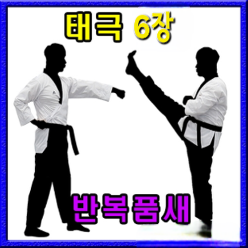 태권도 반복품새 6장