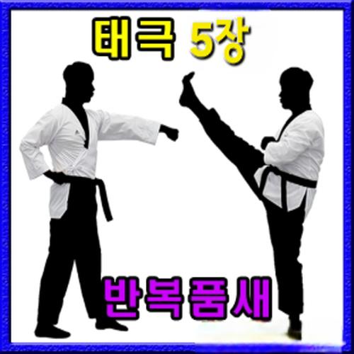 태권도 반복품새 5장