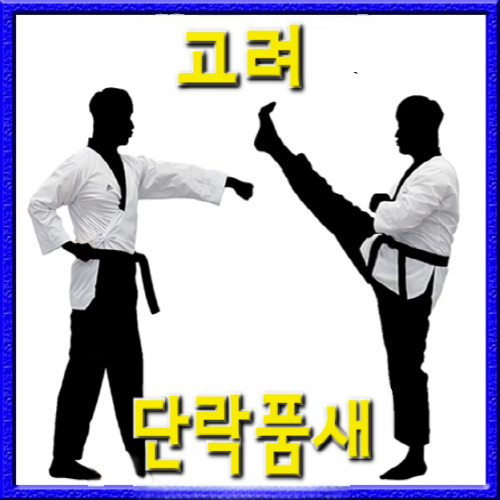 고려 단락품새