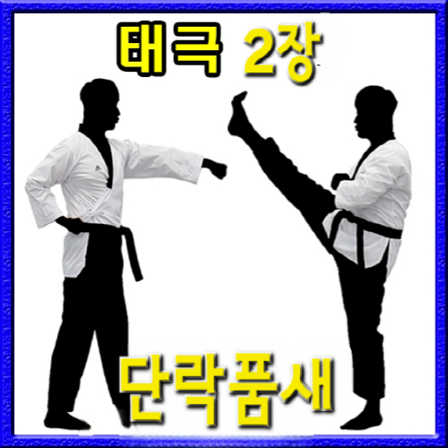 태극 2장 단락품새
